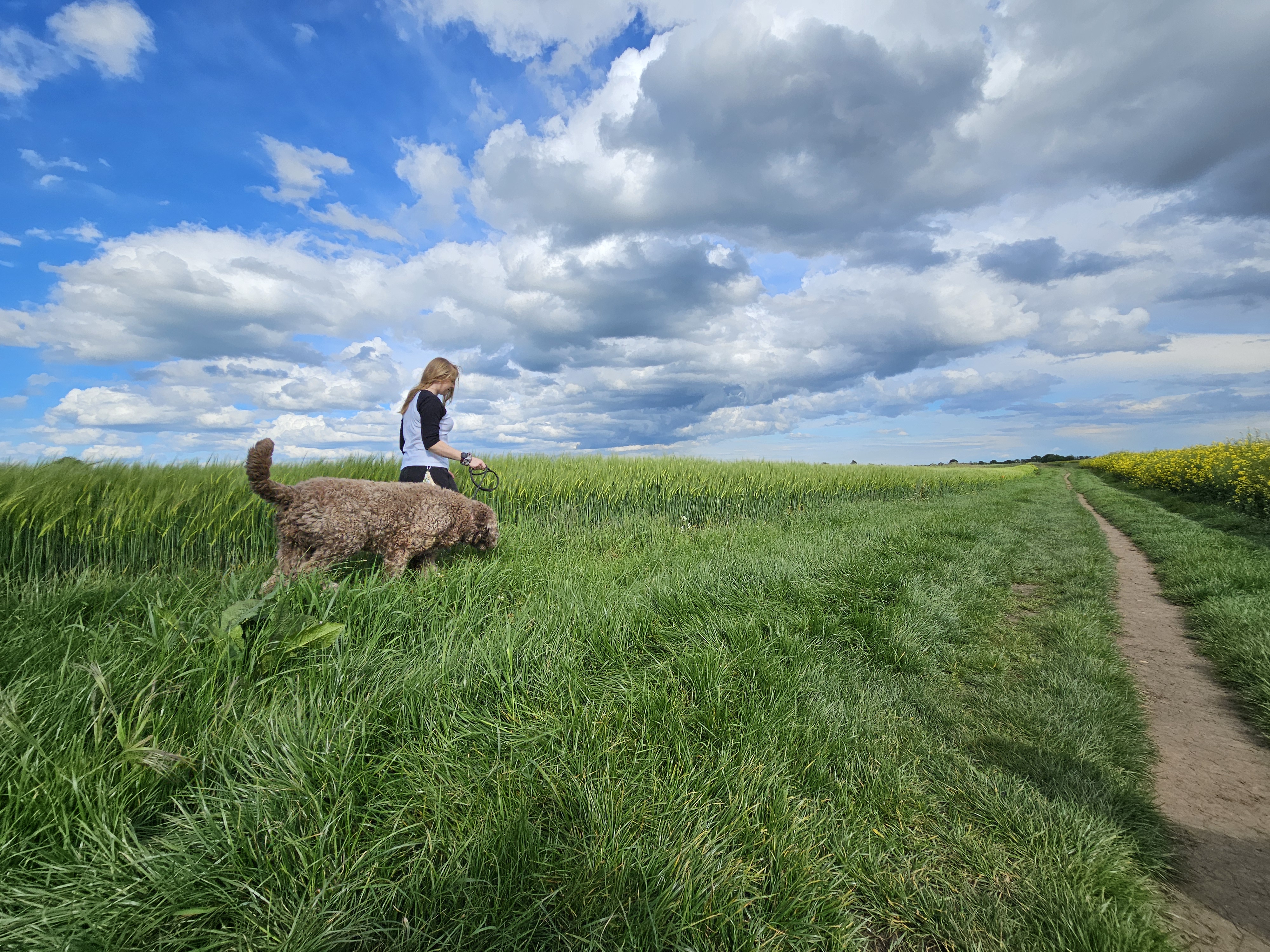 Dougie & Friends Dog Walking Services